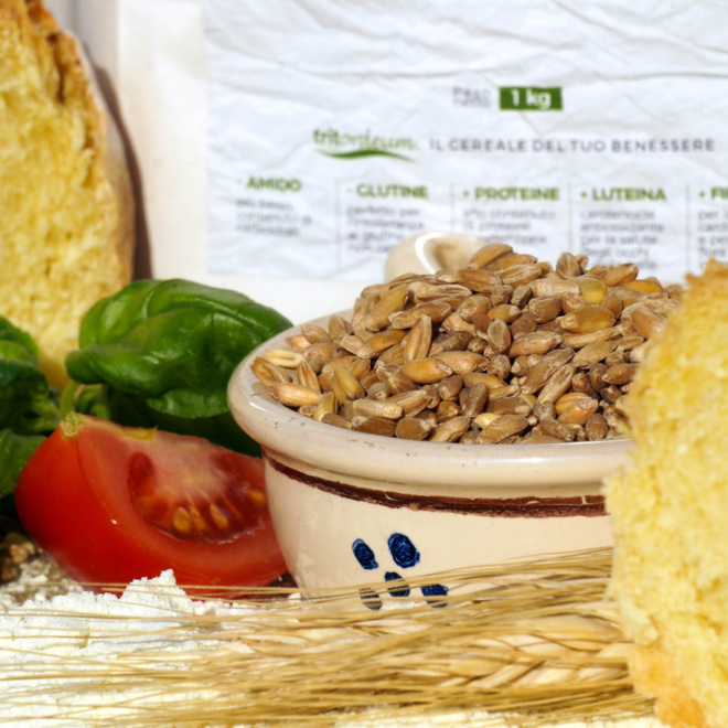 TRITORDEUM : QUALITE  ET SOUPLESSE